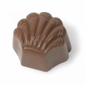 Orange Praline Milk Chocolate