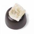 Ginger Plain Chocolate