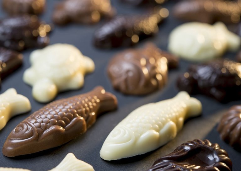 Chocolate Fish Bags