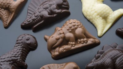 Chocolate Dinosaur Bags