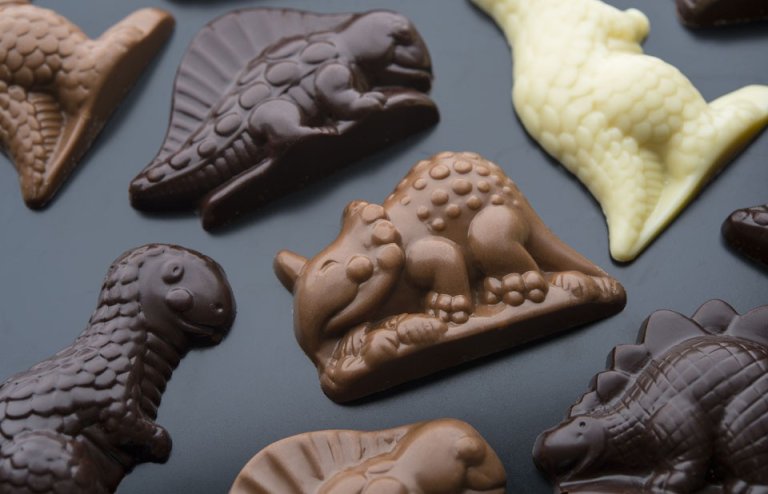 Chocolate Dinosaur Bags