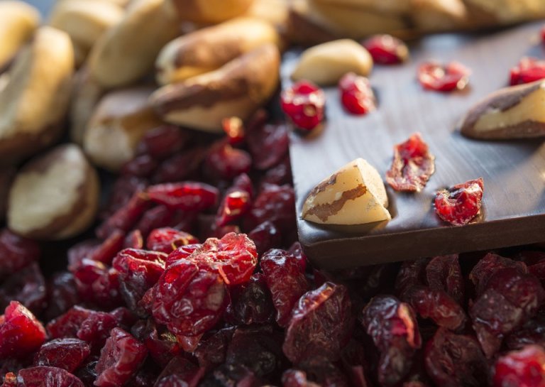 Cranberry & Brazil Nut Bar