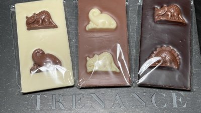 Dinosaur Bar